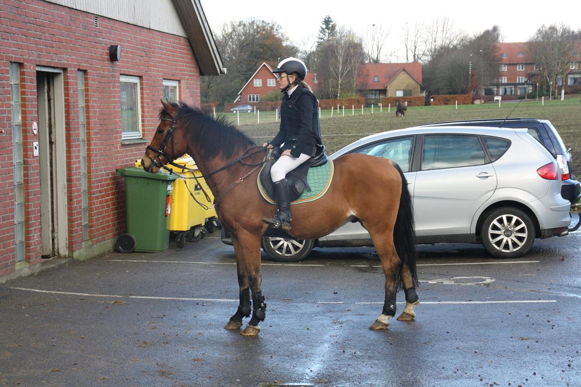 DSP Jokeren "Jokke" - efter vores første LC hvor vi blev nr.4 :D billede 17