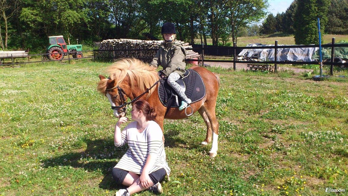 Anden særlig race Sigga - Sigga, mig og hendes som rider sigga (: billede 11