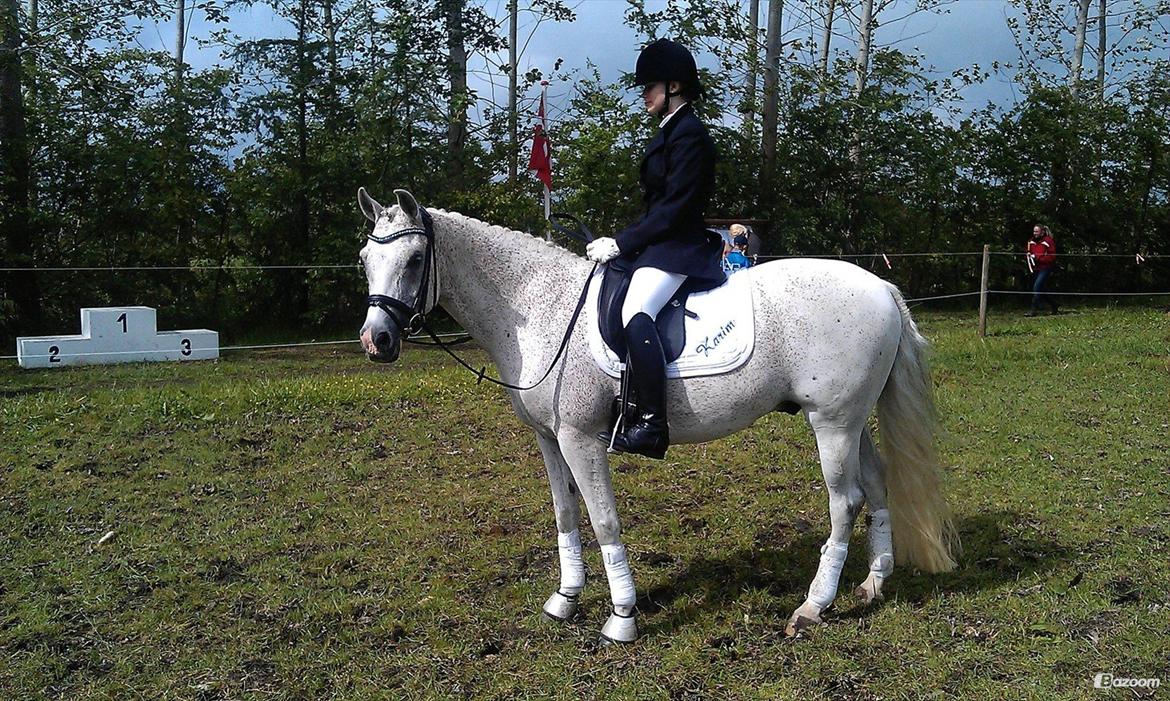 Sportsaraber (A) Karim billede 14