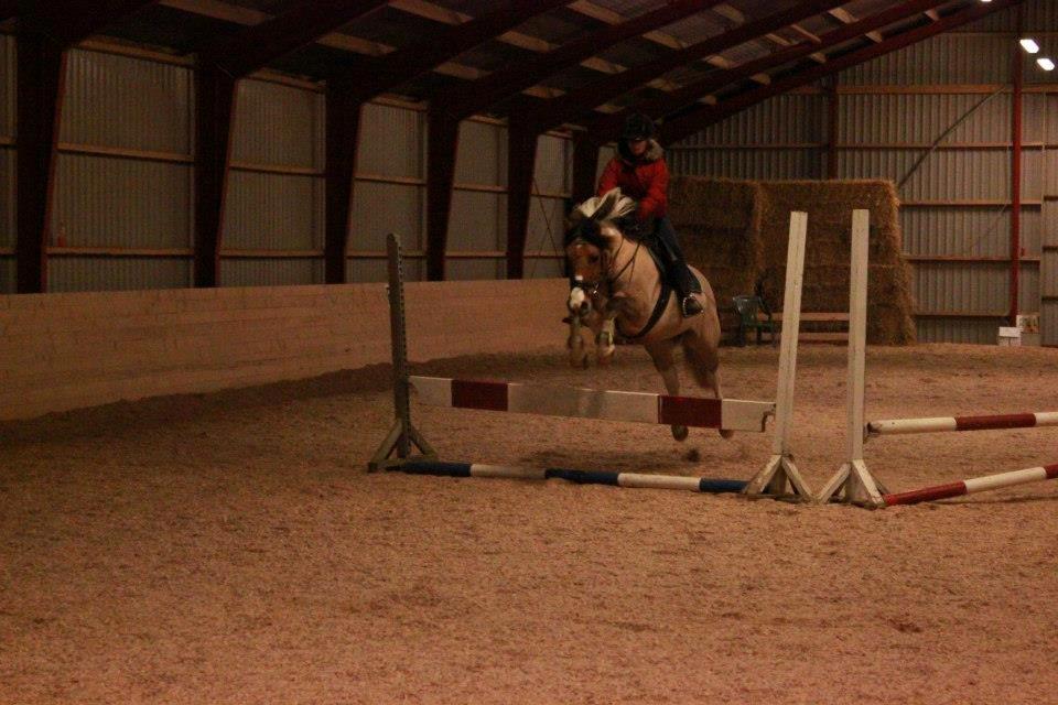 Anden særlig race Charming *Tidl. Part* - Charming til spring d.13 december 2012! billede 14