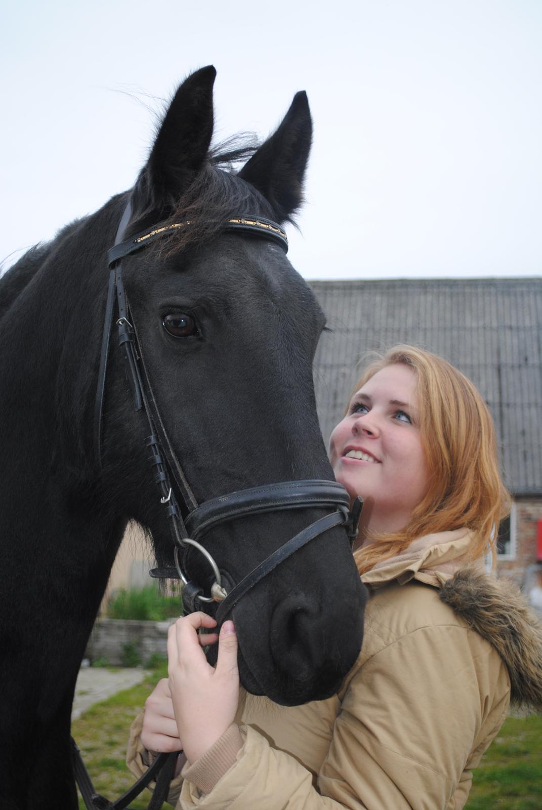 Frieser Altruida K. billede 16