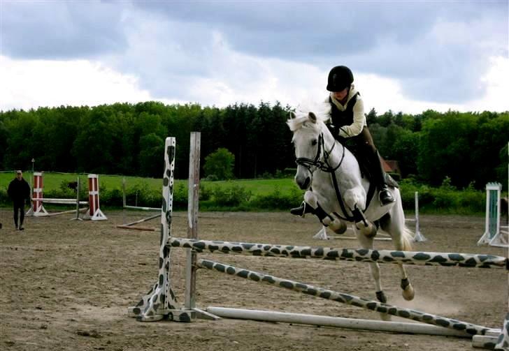 Anden særlig race Junker <3 billede 20