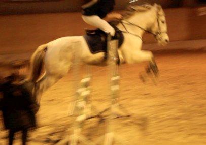 Anden særlig race Misty - LB sløjfestævne den 25 november 2012 - vi var fejlfrie og Misty var den bedste <3 

Undskyld kvaliteten men det er taget ud af en video.  billede 10