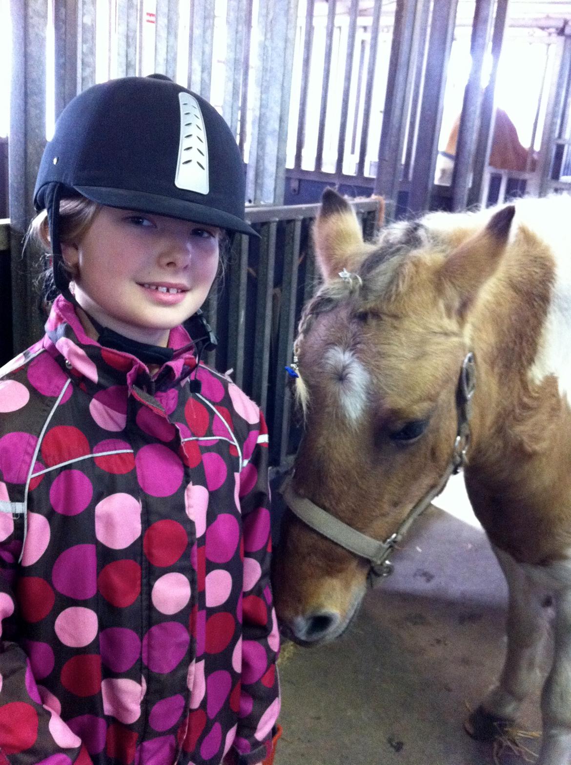 Anden særlig race Dundee*Beautiful*<3 - hvis du bad mig om at råbe ud til hele verden at jeg elsker dig vil jeg kun viske det i dit øre for du er hele min verden<3 my best friend billede 4