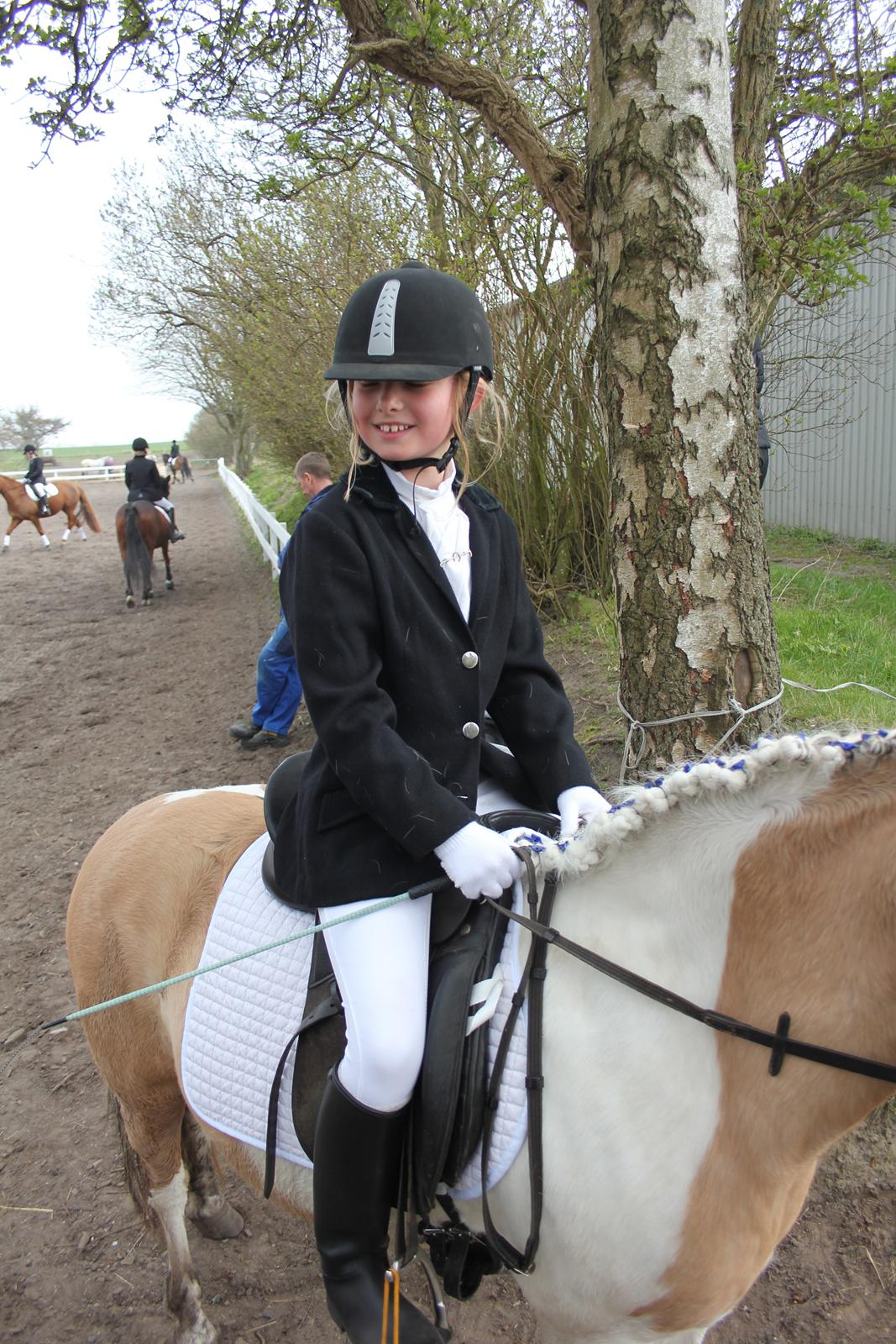 Anden særlig race Dundee*Beautiful*<3 - til stævne på ørbygård billede 12