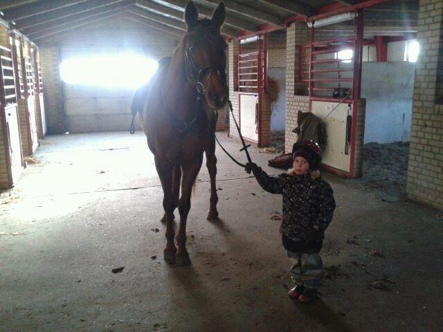 Anden særlig race Nippy - Nippy og Sommer.. :D billede 7