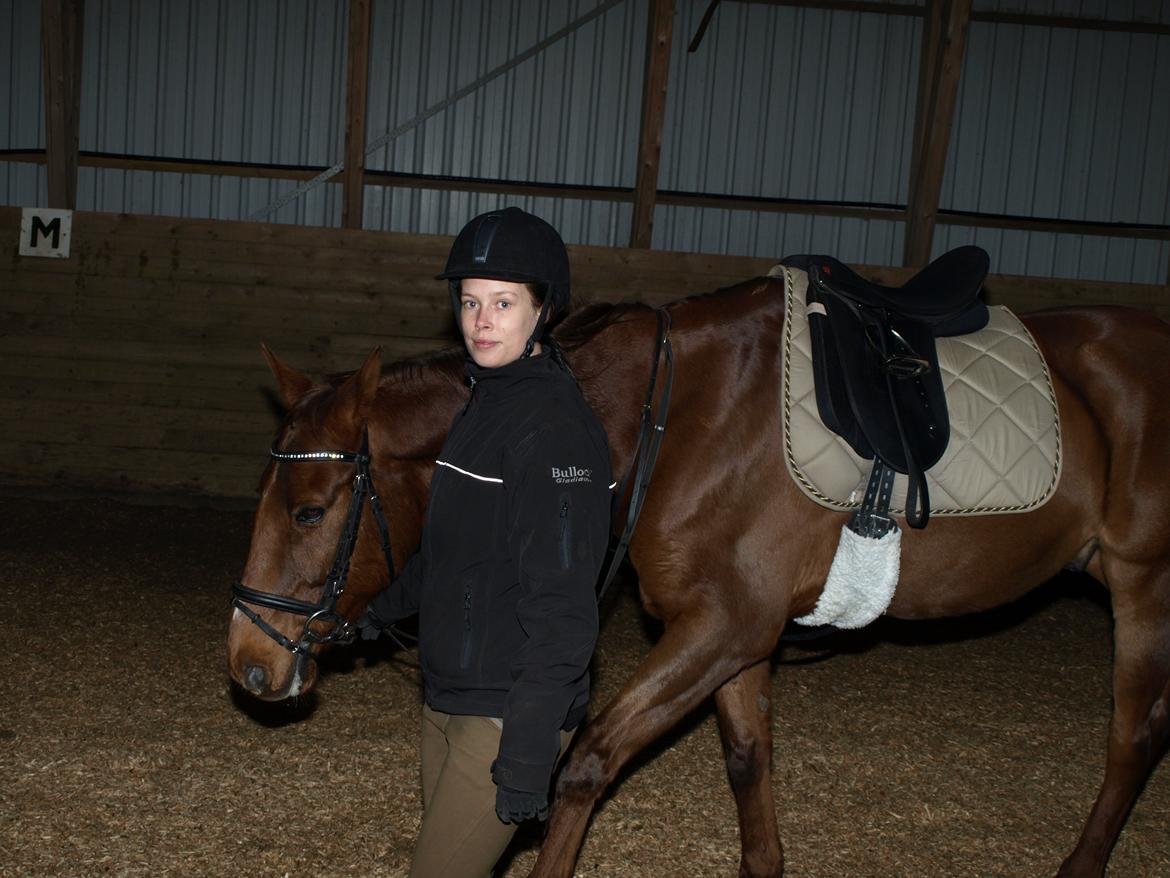 Anden særlig race Nippy billede 18