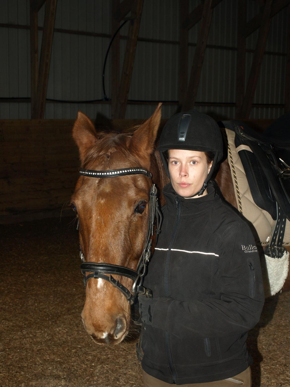 Anden særlig race Nippy billede 19