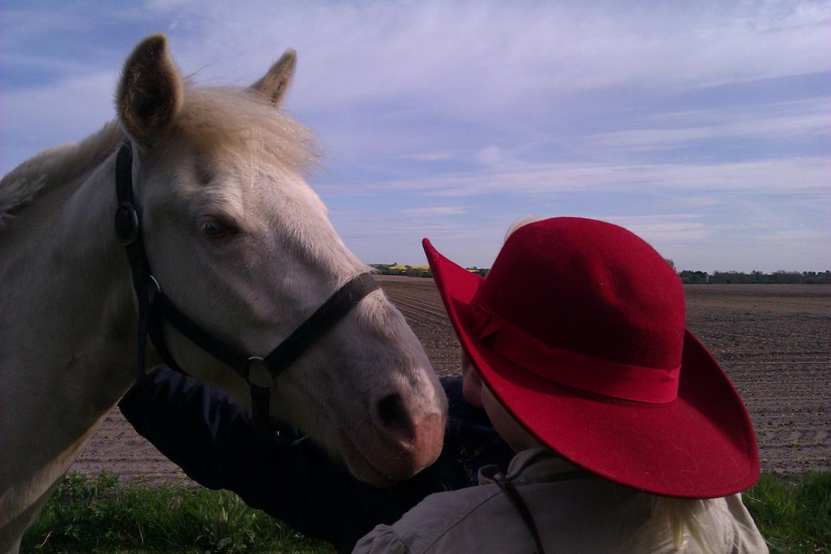 Palomino Bonette (Sanne) - Bonette, som efterfølgende er navngivet Sanne af min niece (pigen med den smukke røde hat). billede 9