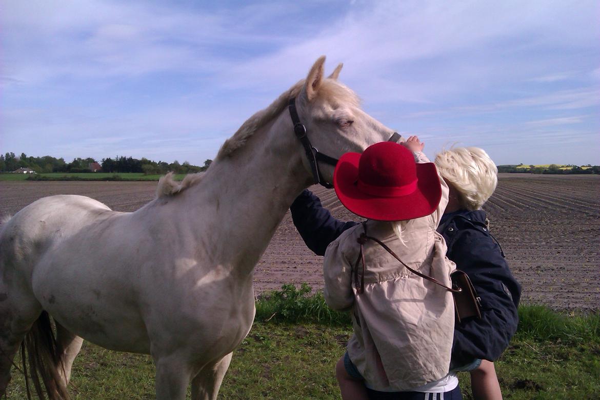 Palomino Bonette (Sanne) - Den eviggode og blide prinsesser nyder hyggen - faktisk enhver hygge.. billede 10