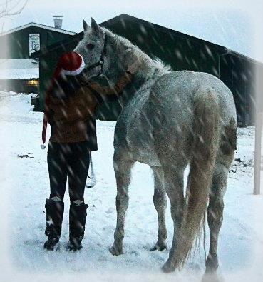 Anden særlig race COCO'S NEW IMAGE~Soulmate - God jul, Mulle ♥
Foto: Emilia Katrine  billede 20