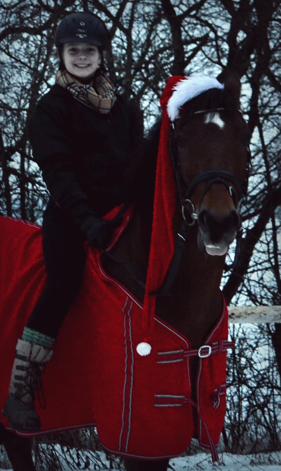 DSP LAZIONE KÆRLUND billede 8