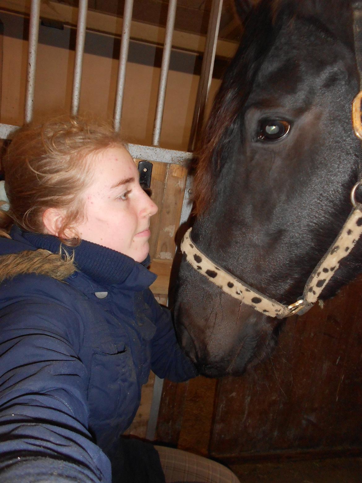 Frieser Jack Whiskey (Bassen <3) - Mig og Frieserdrengen <3 billede 17