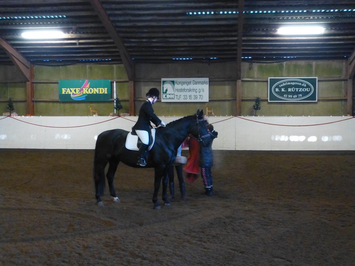 Oldenborg Silas af Skovsøgård billede 15