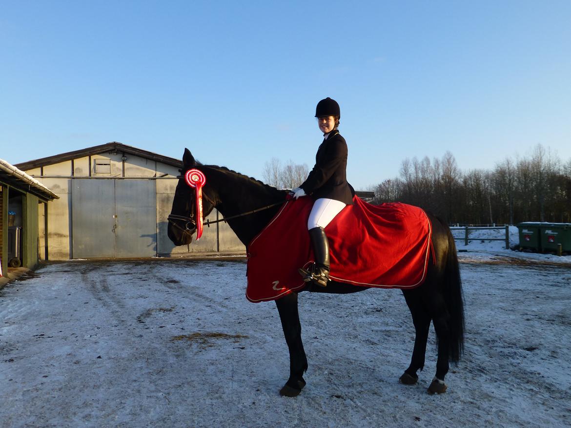 Oldenborg Silas af Skovsøgård billede 20