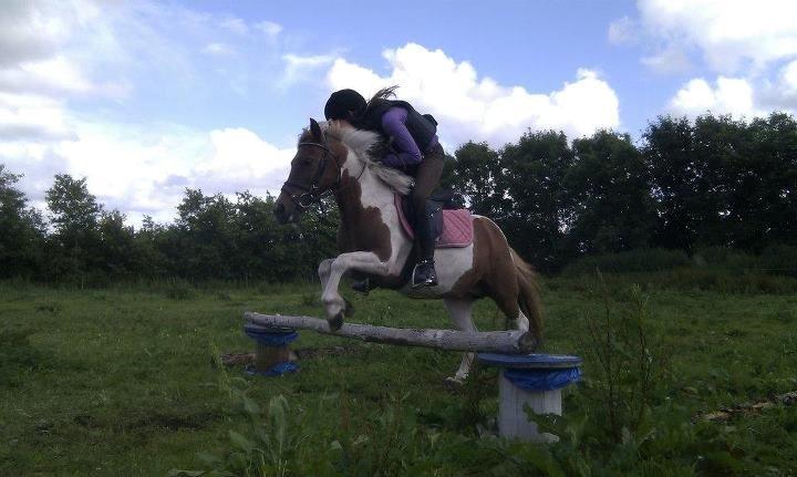 Pinto Pocahontas (har redet) - Første gang jeg sprang hende<3 billede 1