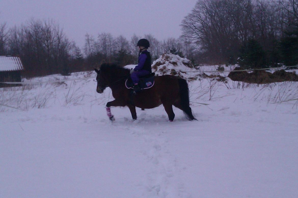 Anden særlig race Lotte<3<3(skinkelynet) - Undervisning med min kusine<3 hun er kun 5år billede 6