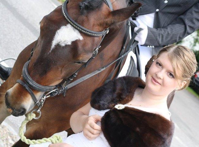 Welsh Cob (sec D) FRENDERUPGÅRDS AKITA - Jeg hente min søde ejer til hende konfirmation :D hun blev over lykkelig over at se mig! :D fordi hun ikke vidste det :D billede 4