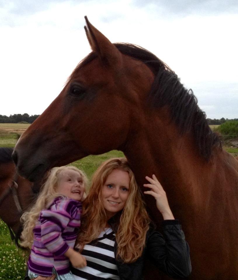 Dansk Varmblod Egely´s Fanny billede 1