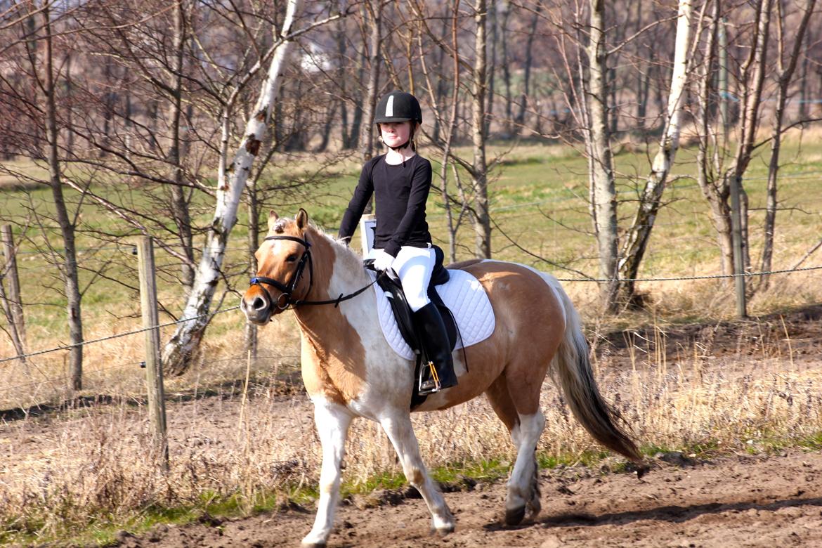 Anden særlig race Dundee*Beautiful*<3 - Is kan smelte sne kan tø men min kærlighed til dig vil aldrig dø<3 billede 15