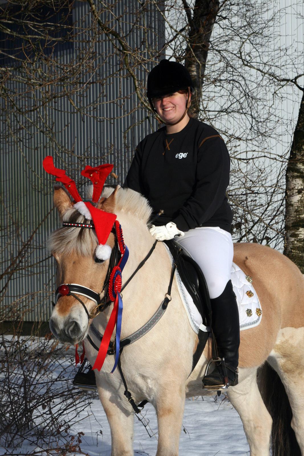 Fjordhest Elm Skovå (Elmer Fjot) - December 2012 - Elmo og jeg red 50 + 60 cm nissespring og var fejlfrie! <3 Foto: Sonja billede 20