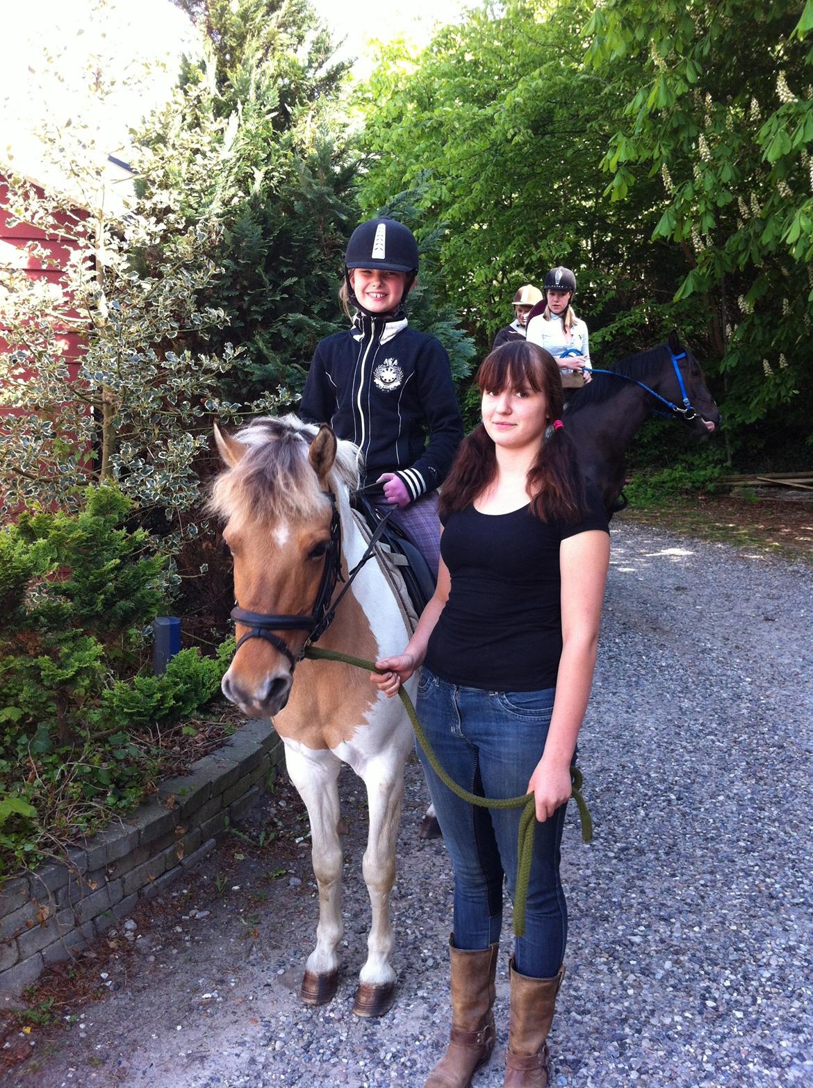 Anden særlig race Dundee*Beautiful*<3 - open by night
(hun var lidt frisk så camilla træk mig) billede 16