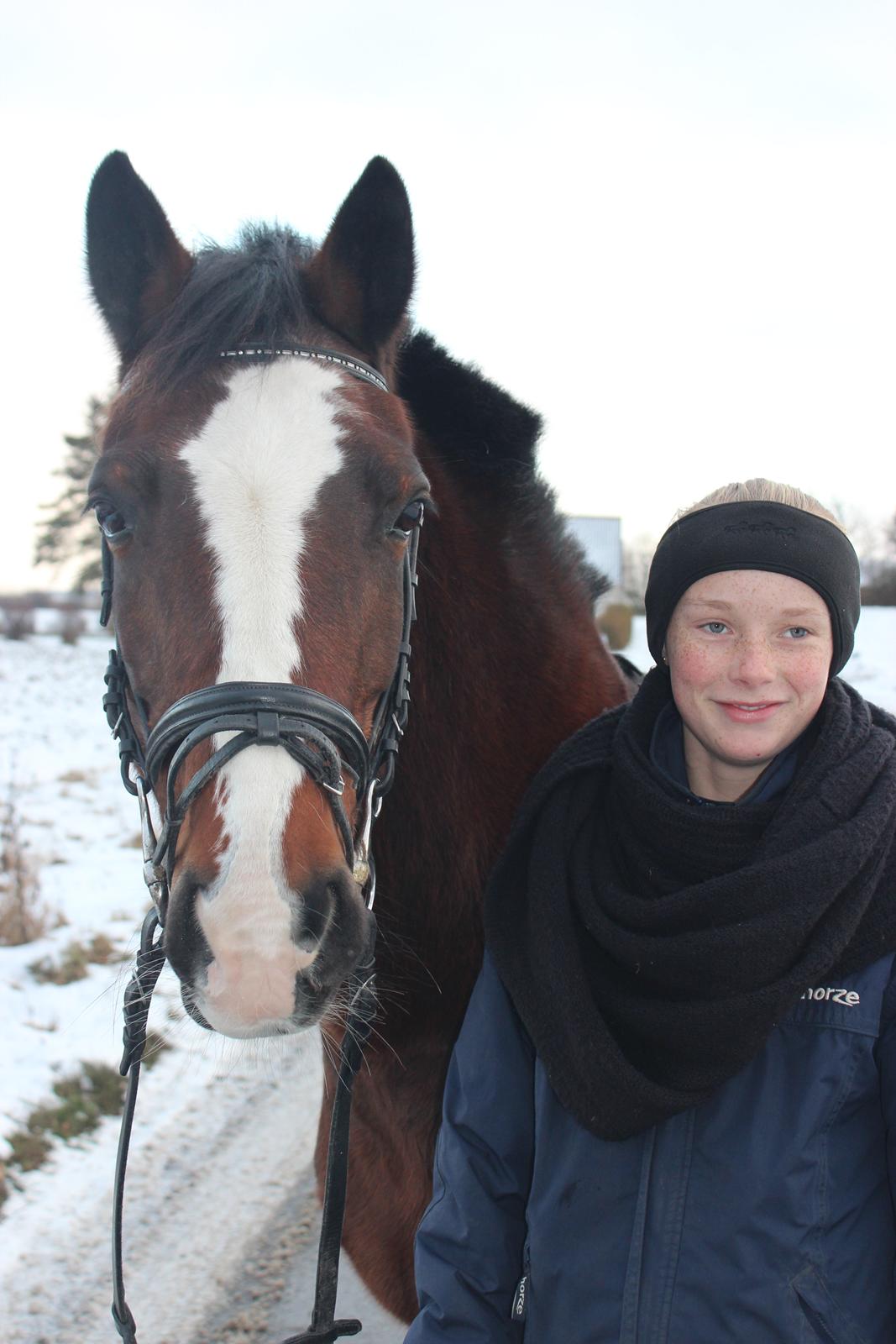Anden særlig race Maddie billede 5