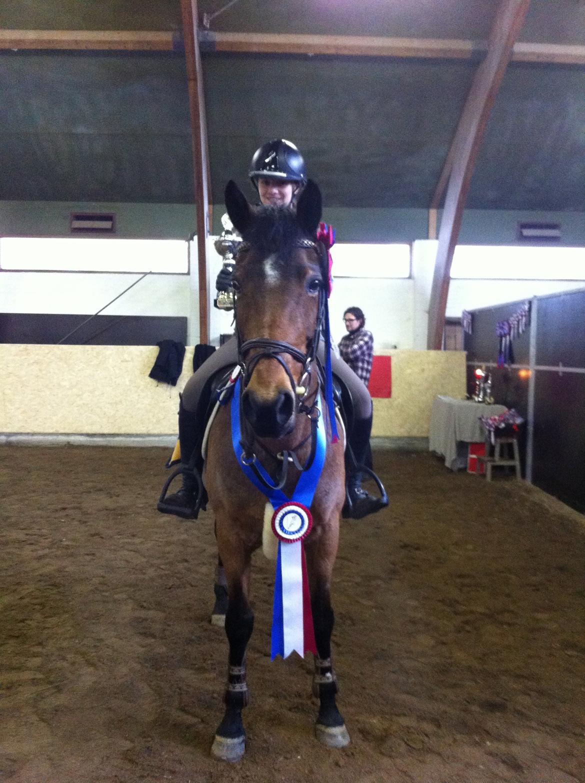 Irsk Sportspony Copper Caramel - Du er bare så dejlig..
Team Natasja Mesterskabet Svær 2012 som vi vandt :D 
Foto: Celeste billede 6