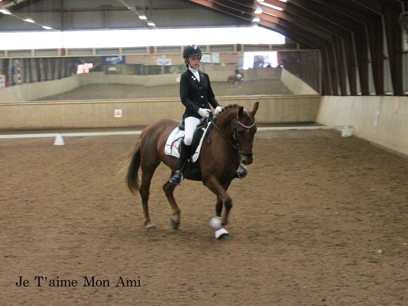 Anden særlig race Je T'aime Mon Ami billede 1