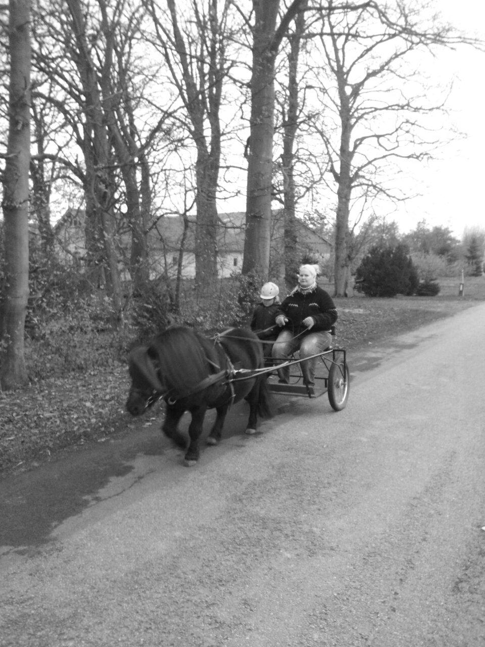 Shetlænder Labbenhus Frederik - Mig og Kira ude og køre efterår/vinter 2012. billede 14