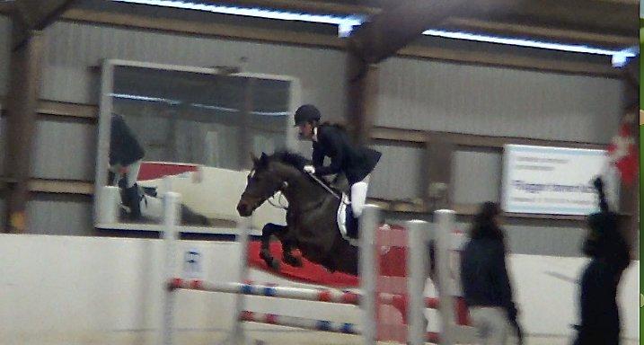 Welsh Partbred (Sec F) GROEZE'S JOSINA - VRCL - LB1* billede 15