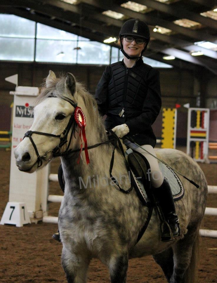 Anden særlig race Silver Moon - *Delle* <3 - Glad rytter + pony som lige har vundet LD! :) billede 7
