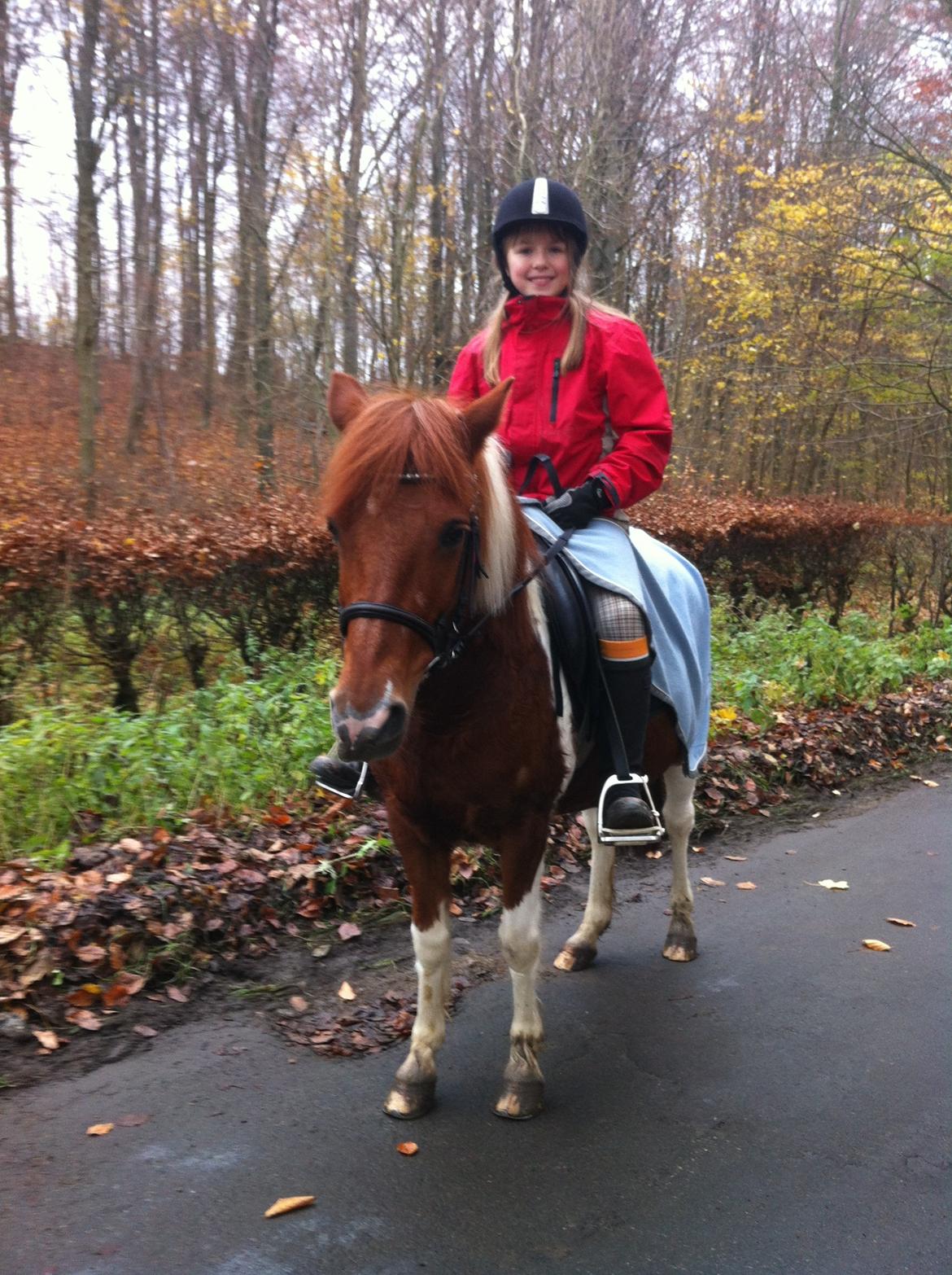 Anden særlig race Bianca - Bianca og jeg på hyggetur i skoven billede 1