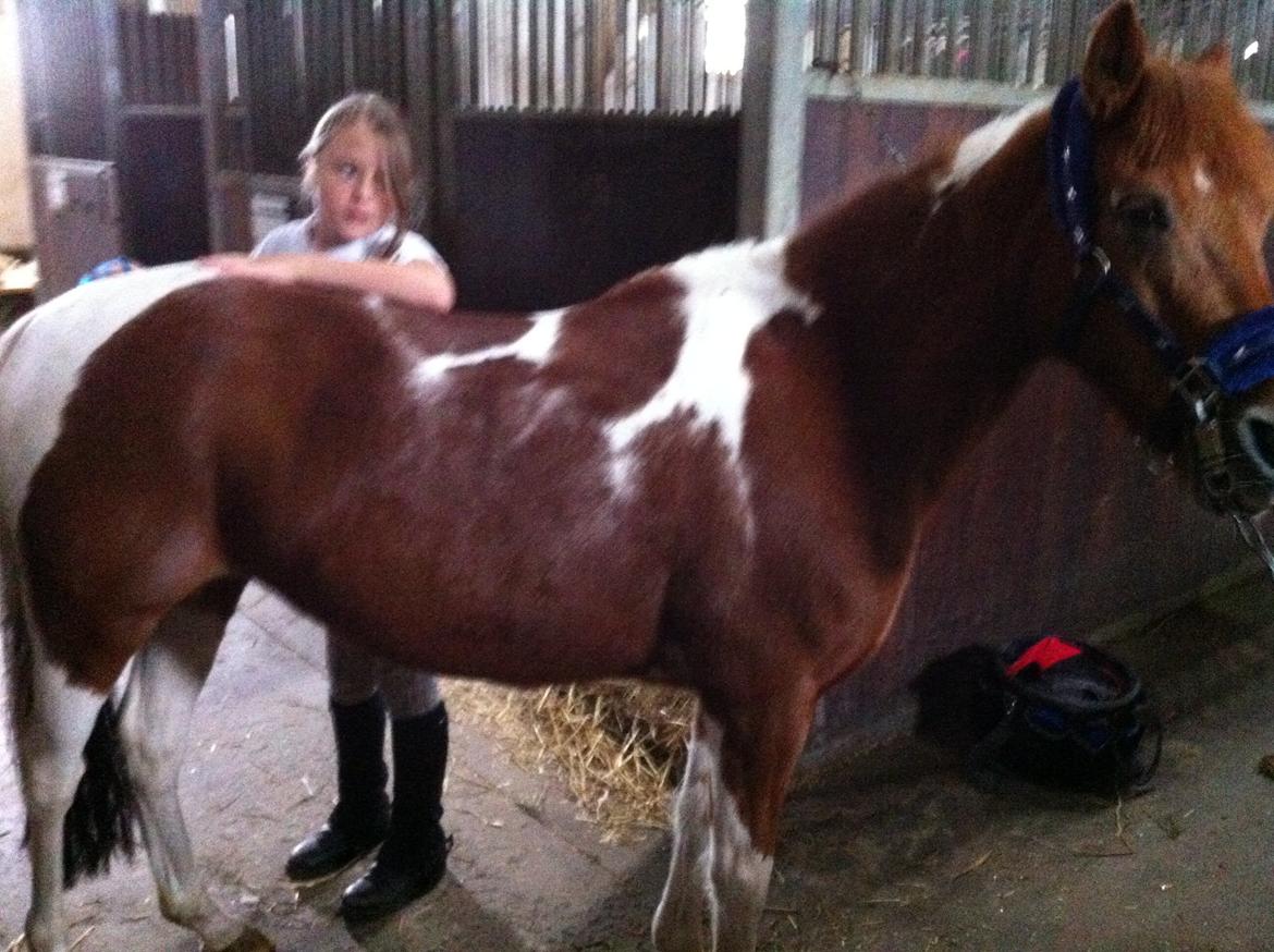 Anden særlig race Bianca billede 3