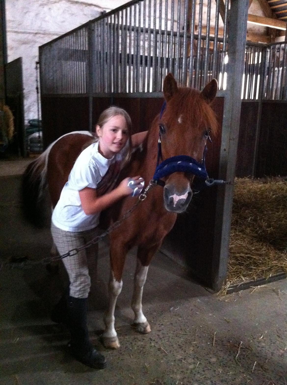 Anden særlig race Bianca billede 4