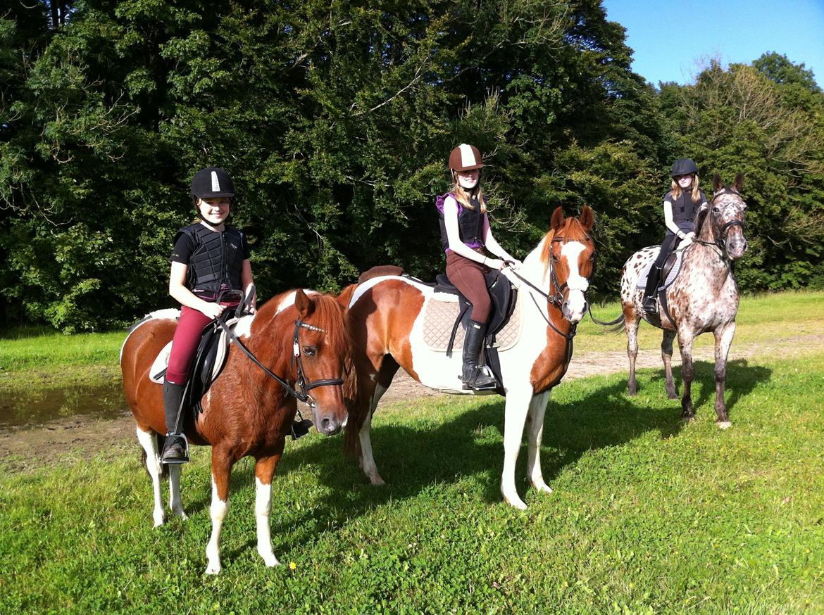 Anden særlig race Bianca - Team Plet :-) billede 5