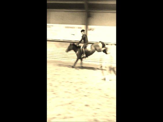 Anden særlig race LUNDGAARD'S COINTREAU - SOLGT - bagbenene fejler intet :D billede 19