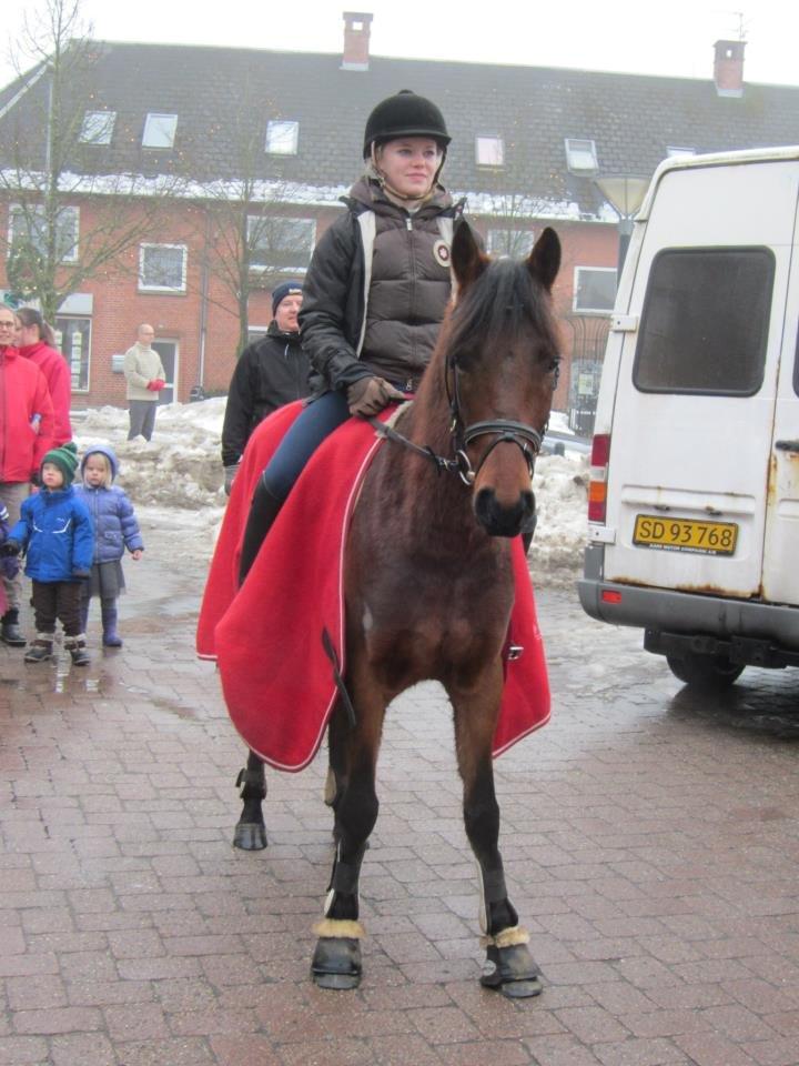 Anden særlig race LUNDGAARD'S COINTREAU - SOLGT billede 1