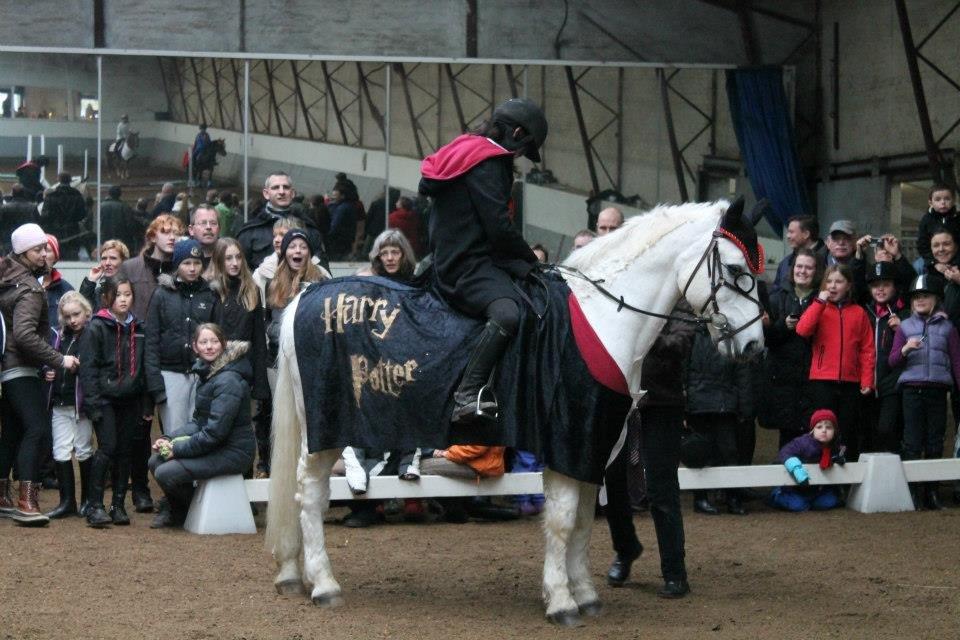 Connemara Hesselholts Marvin <3 - Harry Potter! til kostume spring! Vandt for bedste kostume! <33 Elsk på den pony! <3 :'-) billede 1