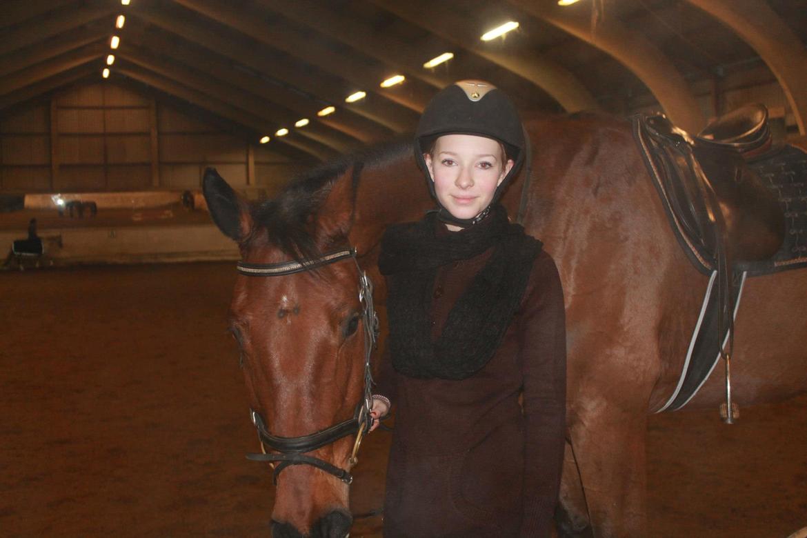 Holstener Castano billede 3