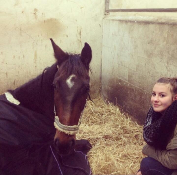 Tjekkisk Varmblod  Kusaj - Søde heste basse <3 billede 10