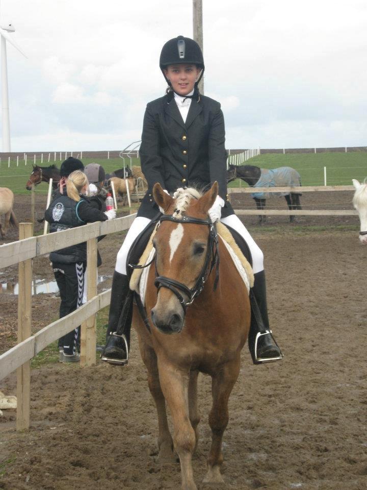 Anden særlig race Nemo Bit - Nemo og jose/ opvarmning til stævne 2012 billede 2