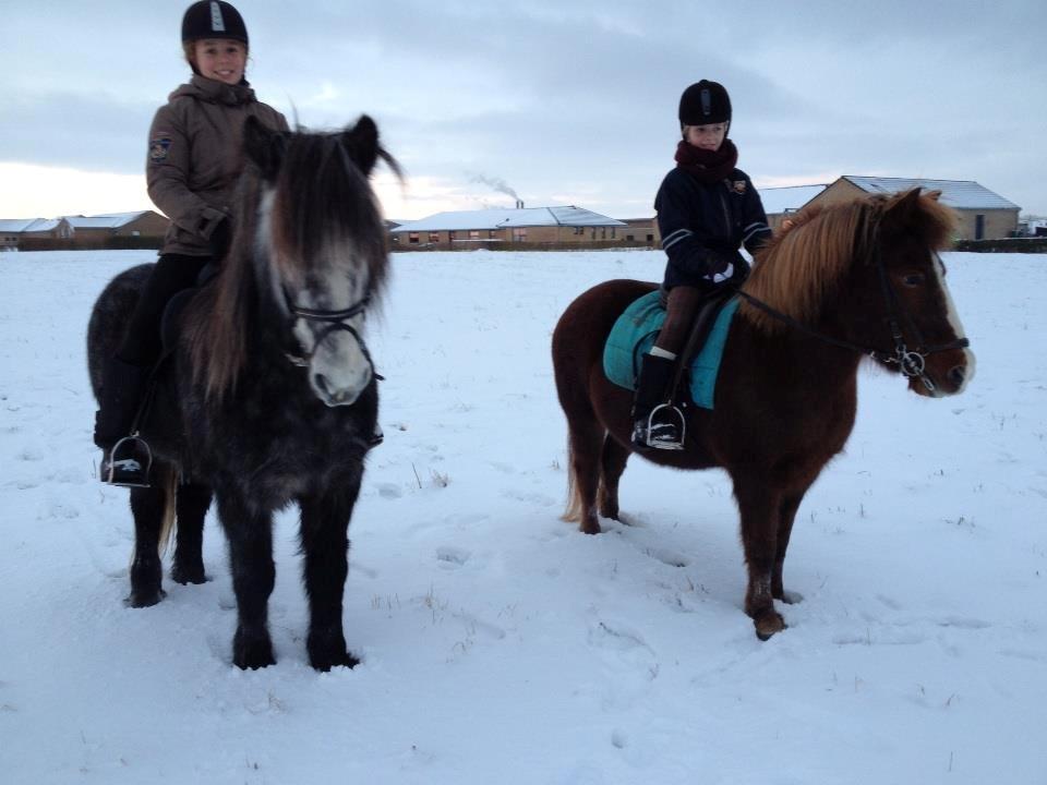 Islænder Tindra<3 - Ude og ride med Laura og Noddi!<333 billede 11