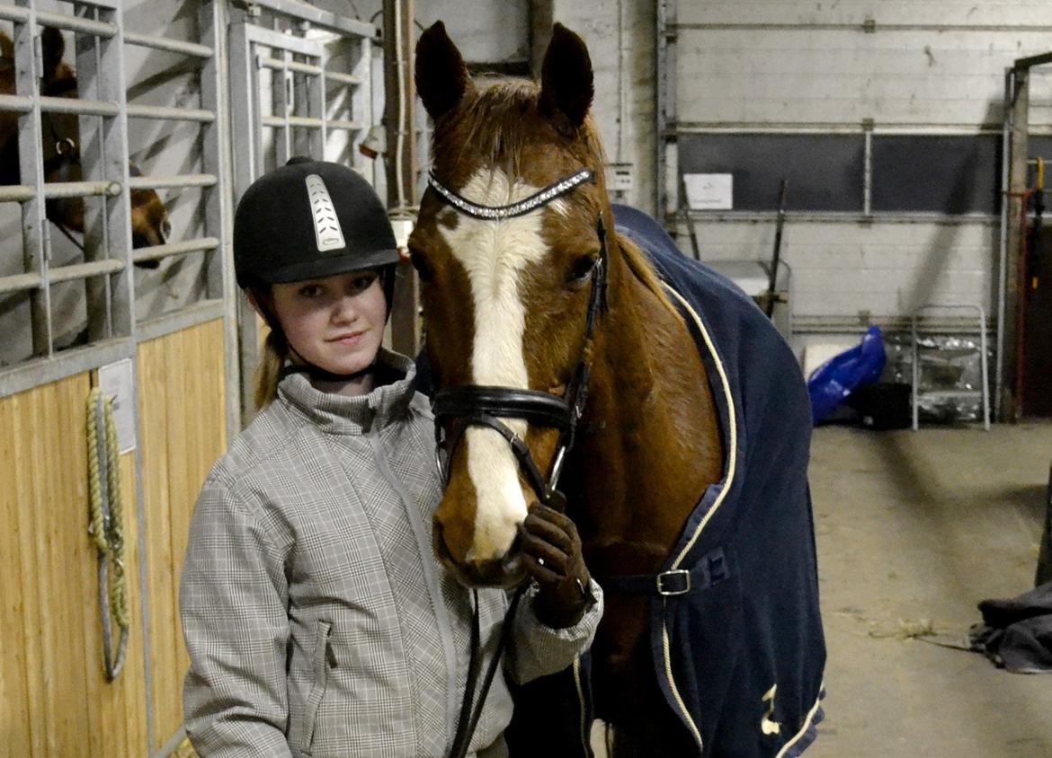 Anden særlig race Sheila - En lille Jule hilsen her fra den 17 December 2012 fra Sheila og jeg :D 
- To trætte piger efter en hård ridetur :) billede 2