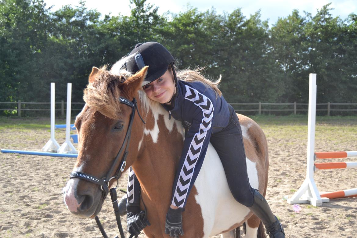 Pinto Coulermix <3 - Jeg er snart 16 år og må derfor ikke ride pony mere. Det er jeg rigtig ked af da Coulermix var en af de bedste ponyer jeg har haft, men vi har haft nogle perfekte år sammen <3  billede 3