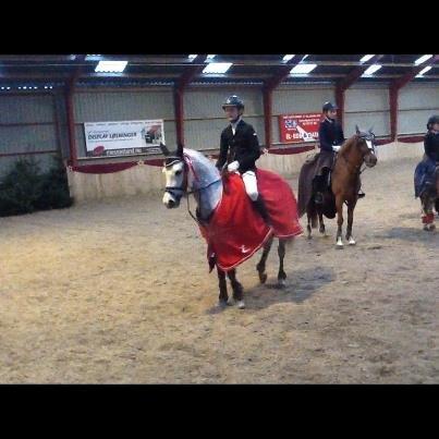 Hollandsk Sportspony Bandit SOLGT:( - klubmester 2012 LA* (85cm) anden gang vi springer det til stævne og så havde vi den bedste tid billede 12