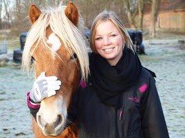 Haflinger Fenja billede 1