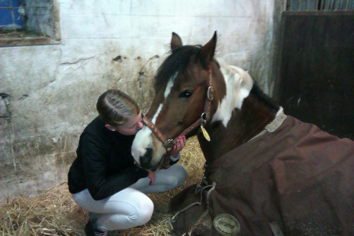 Anden særlig race Mille (Pensioneret) - Hvis gud har skabt noget der er smukkere end dig, har han beholdt det for sig selv <3 billede 16