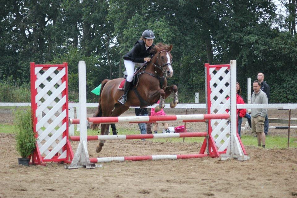 DSP Hope - Davinde, LB*, 2012 billede 18