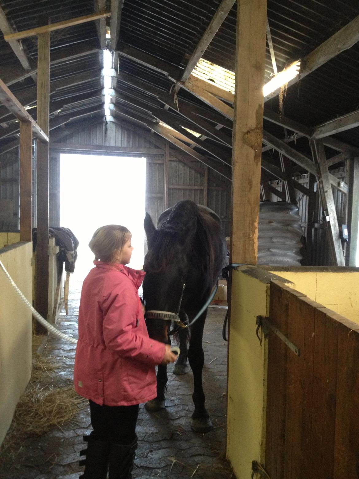 Anden særlig race thor billede 6